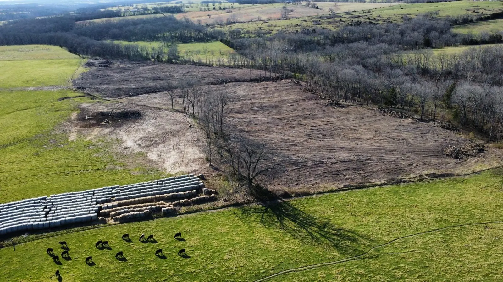 Aerial view of a land clearing project
