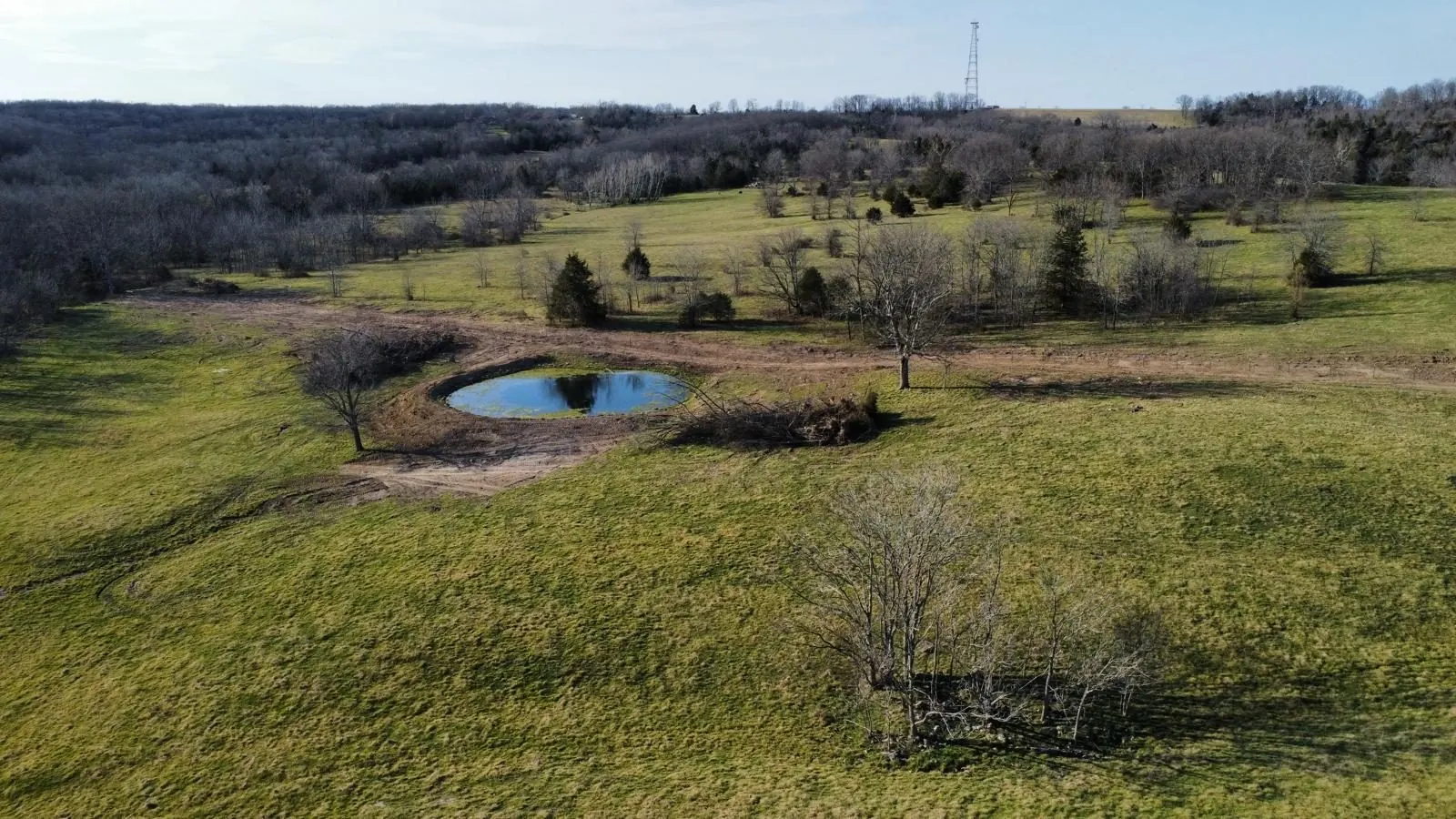 Finished pond in a pasture